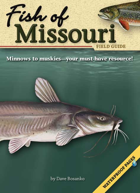 Fish of Missouri Field Guide